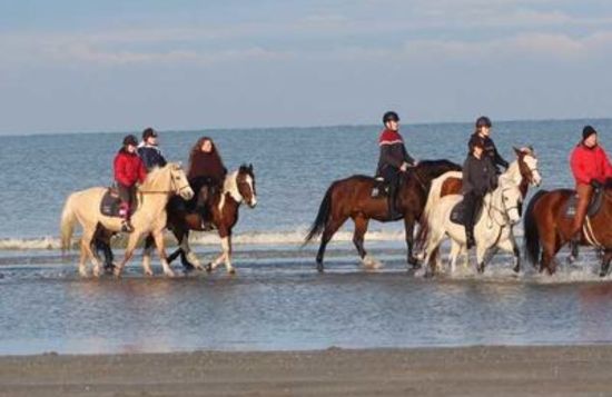 Manege De Drie Vijvers