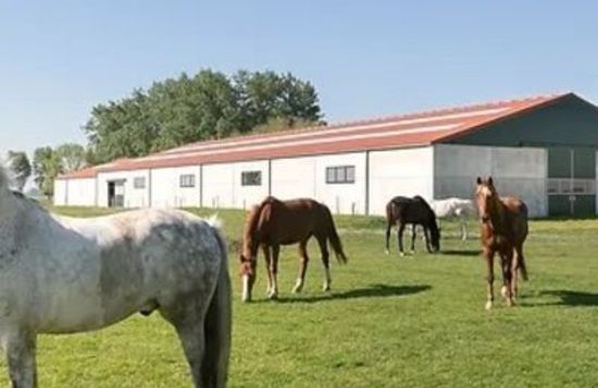 Manege Snippenhof