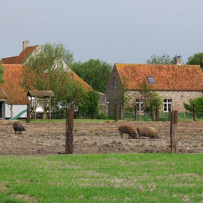 Hof Ter Meulen