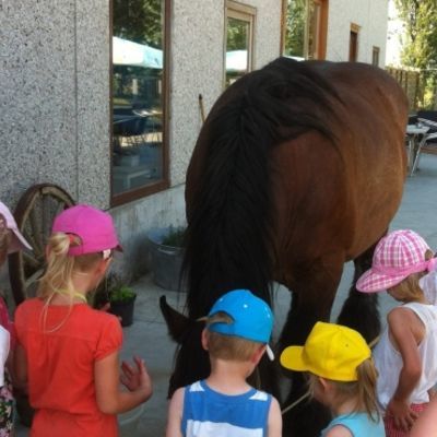 Kinderboerderij Lettenhof