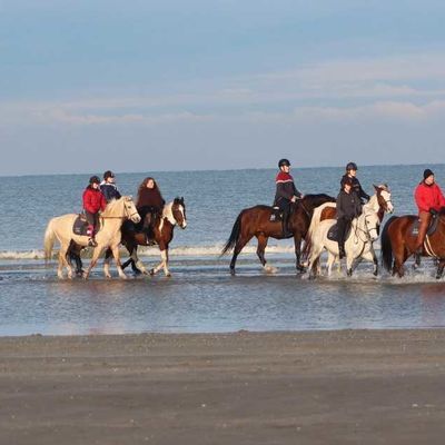 Manege De Drie Vijvers