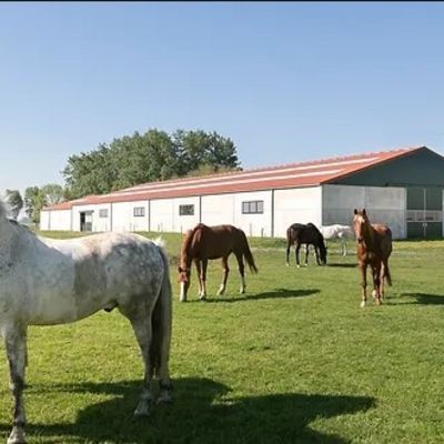 Manege Snippenhof