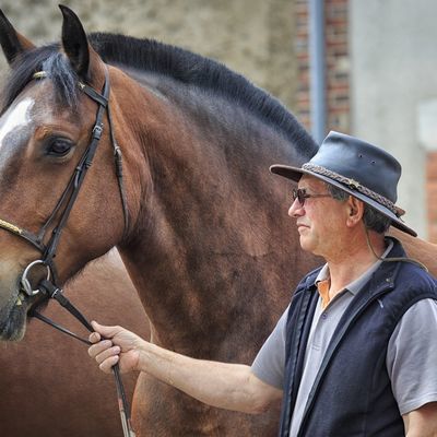 Huifkartocht met De Paardenhoeve